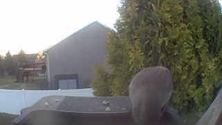 unknown bird species