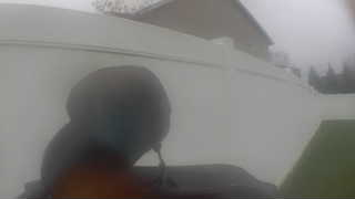 Unidentified clip