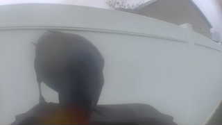 Unidentified clip