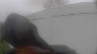 Unidentified clip