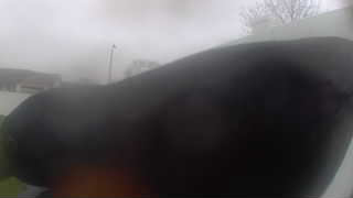 Unidentified clip