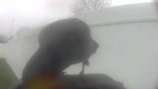 Unidentified clip