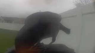 Unidentified clip