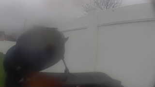 Unidentified clip