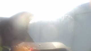 Unidentified clip