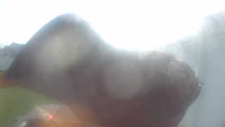 Unidentified clip