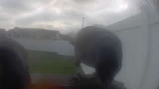 Unidentified clip