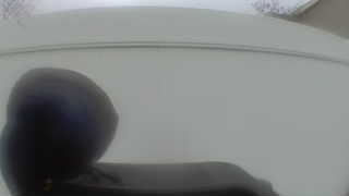 Unidentified clip