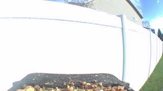 Unidentified clip