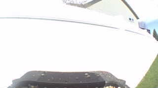 Unidentified clip