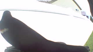 Unidentified clip