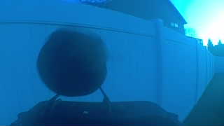 Unidentified clip