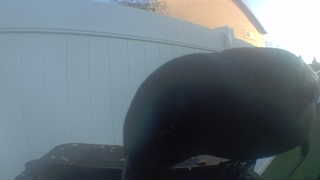 american crow