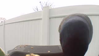 Unidentified clip