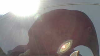 Unidentified clip