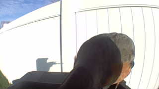 rock pigeon