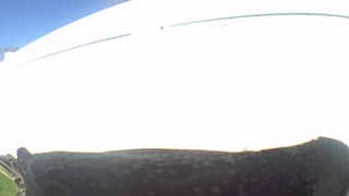 Unidentified clip
