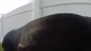 Unidentified clip