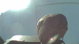 Unidentified clip