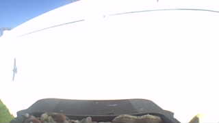 Unidentified clip