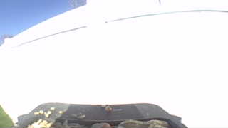 Unidentified clip