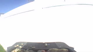 Unidentified clip