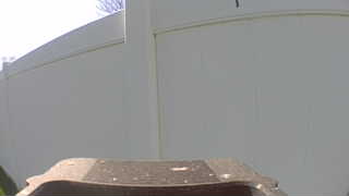Unidentified clip