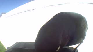Unidentified clip
