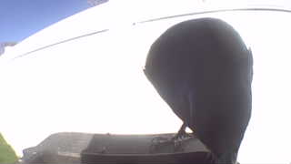 Unidentified clip