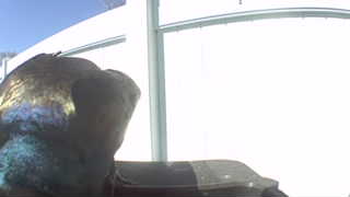 Unidentified clip