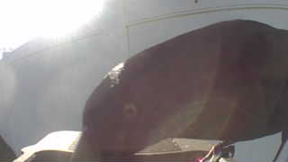Unidentified clip