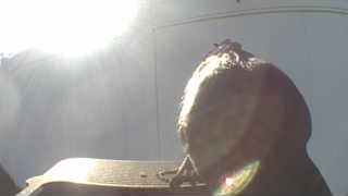 Unidentified clip