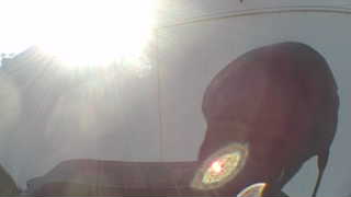 Unidentified clip