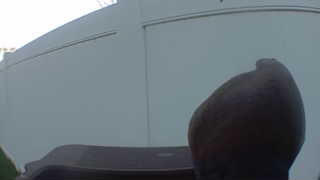 Unidentified clip