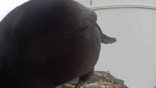dark-eyed junco