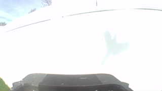 Unidentified clip