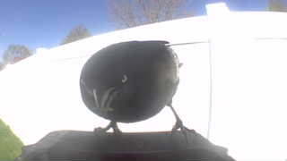 Unidentified clip