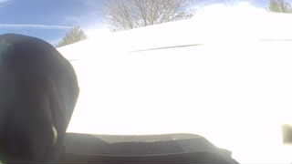 Unidentified clip