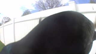 Unidentified clip