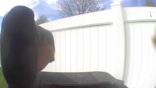 american crow