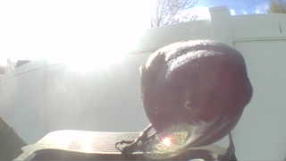 Unidentified clip