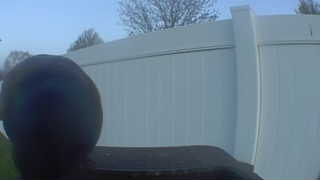 Unidentified clip