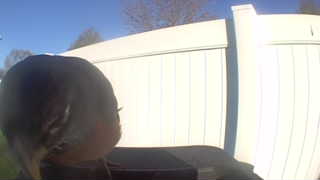 Unidentified clip