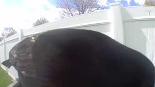 Unidentified clip