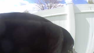Unidentified clip