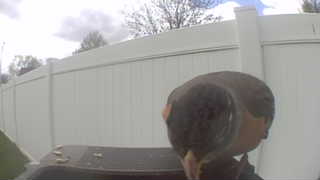 Unidentified clip
