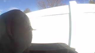Unidentified clip