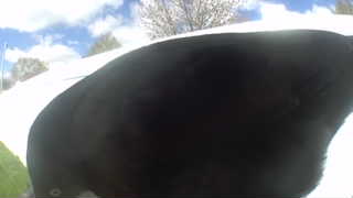 Unidentified clip
