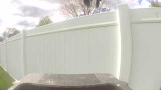 Unidentified clip