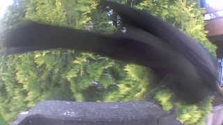 Unidentified clip